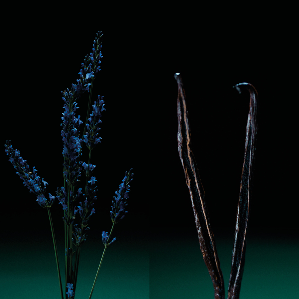 Pour un homme de Caron