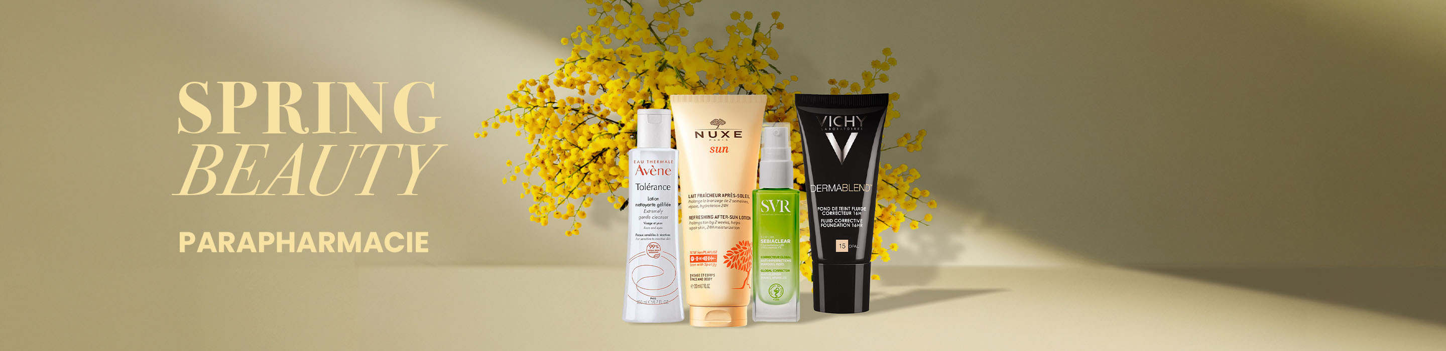 Banner-commercial-Spring-Special-Para