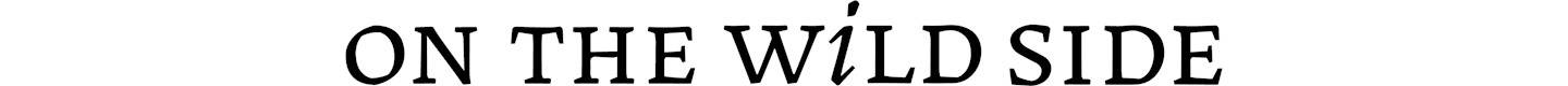 logo on the wild side
