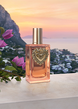 dolce & gabbana nouveautés