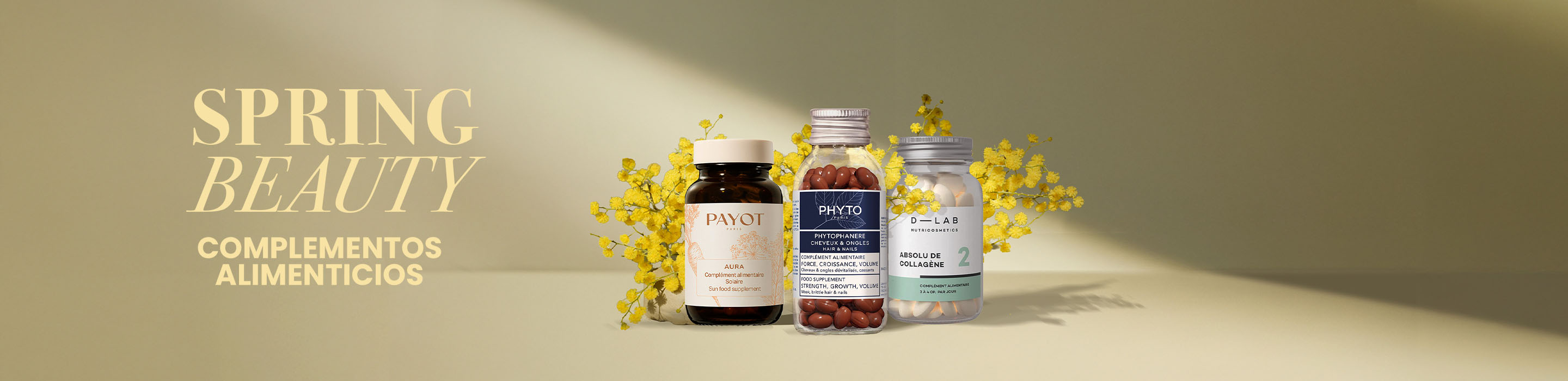 Banner-commercial-Spring-Special-Complements