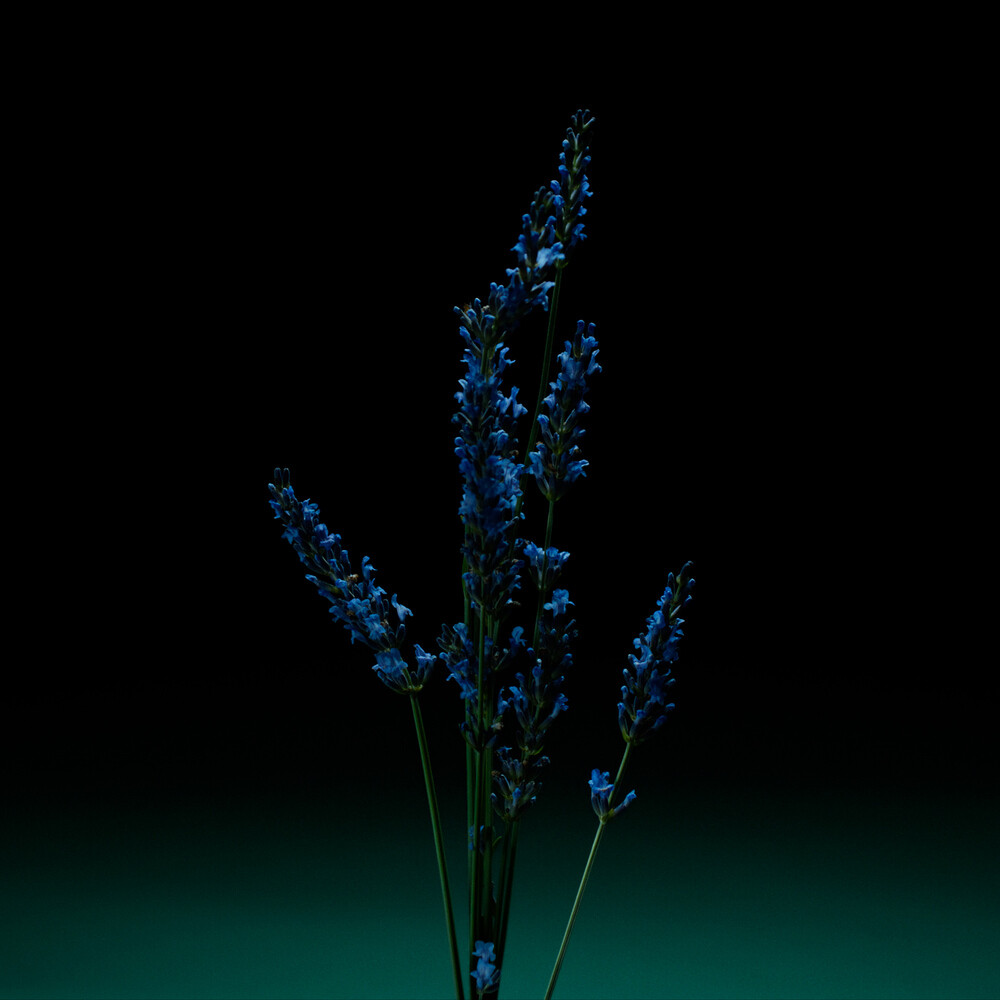 Pour Un Homme de Caron