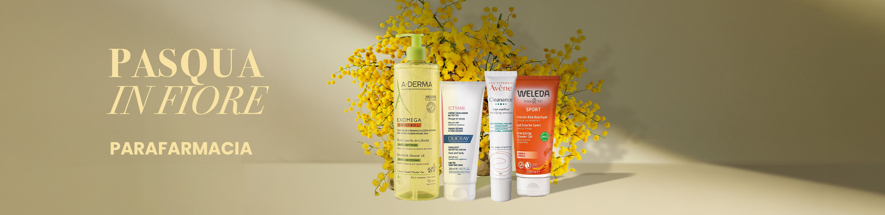 Banner-commercial-Spring-Special-Para