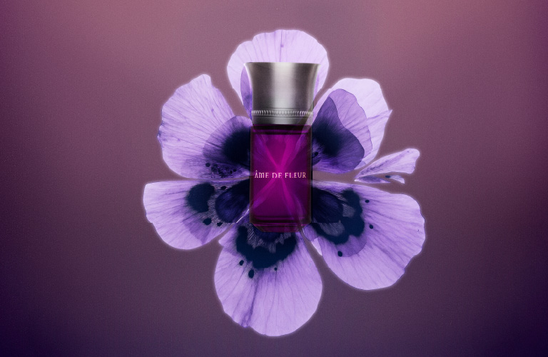 banniere liquides imaginaires