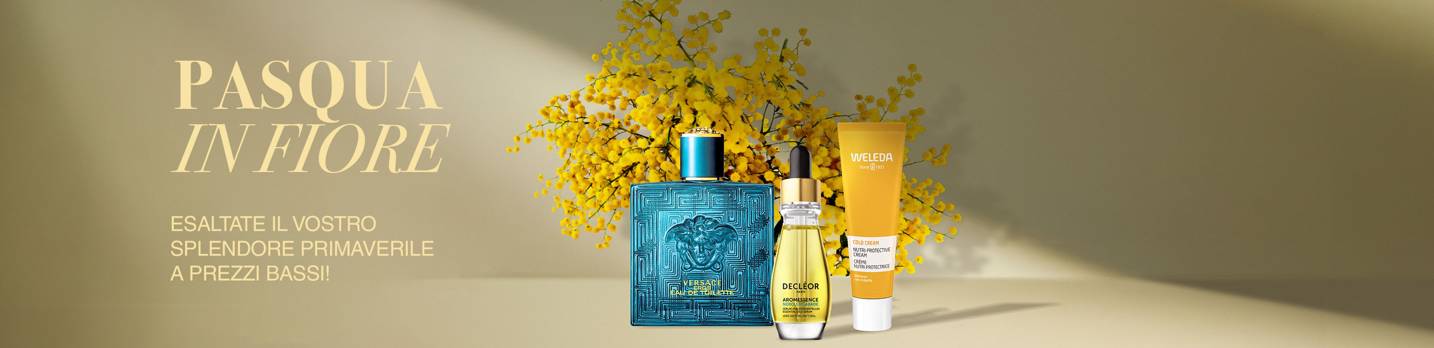 Banner-commercial-Spring-Special