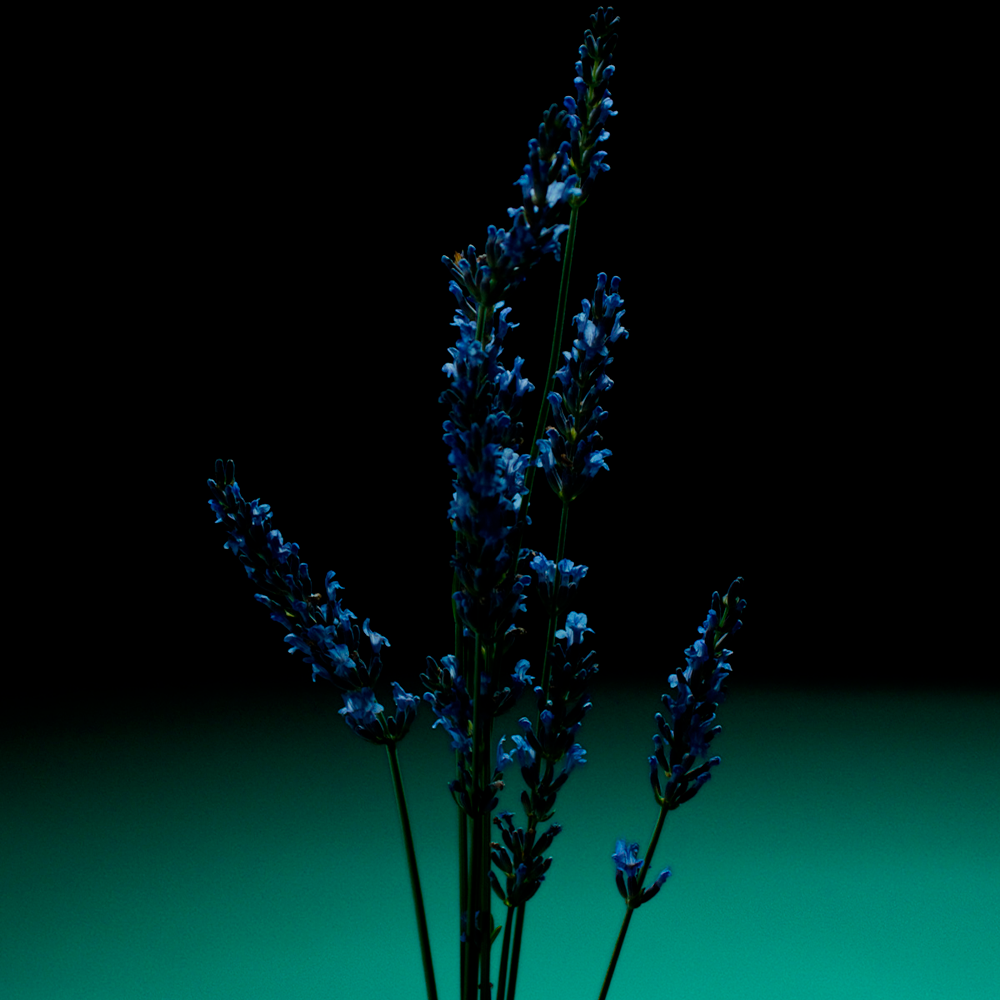 Pour un homme de Caron