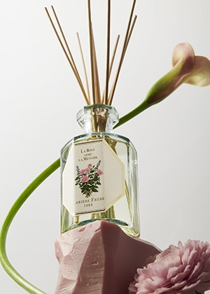 Rosee menthe diffuseur