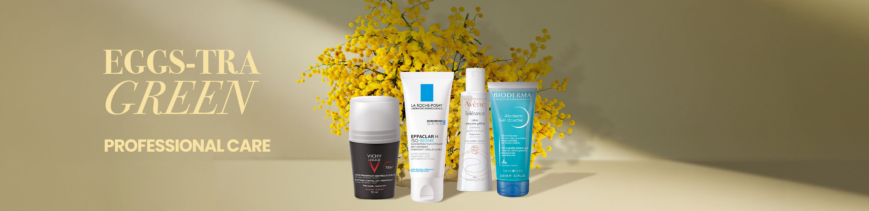 Banner-commercial-Spring-Special-Para