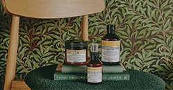 Les essentiels de l'automne