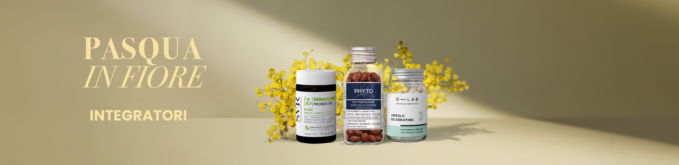 Banner-commercial-Spring-Special-Complements