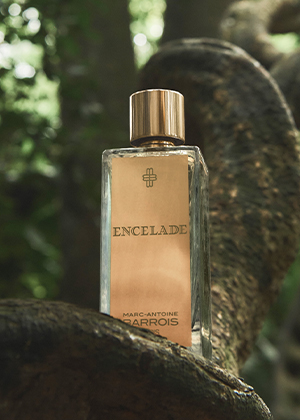 MARC-ANTOINE BARROIS