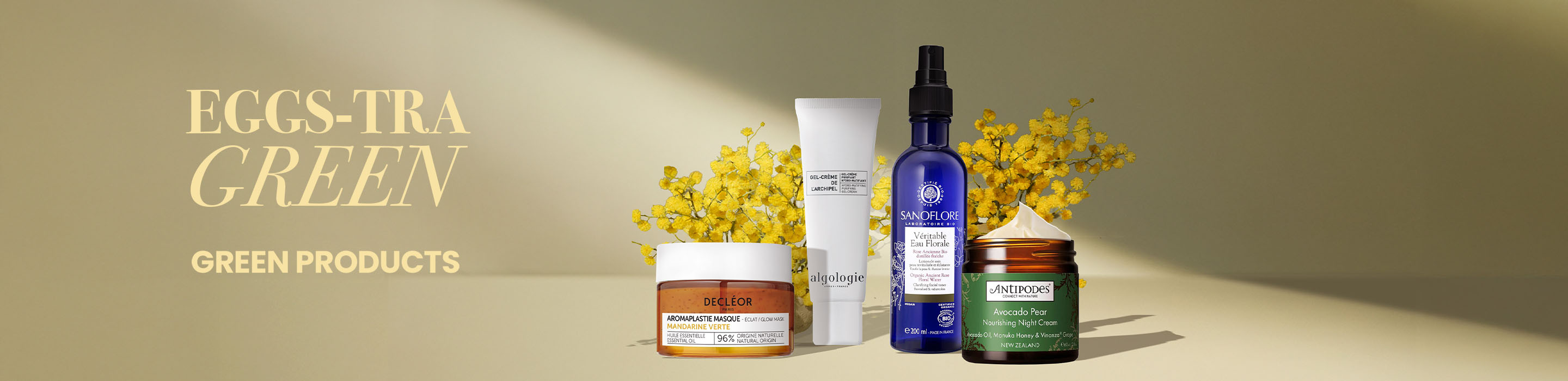 Banner-commercial-Spring-Special-Green