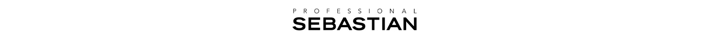 logo Sebastian