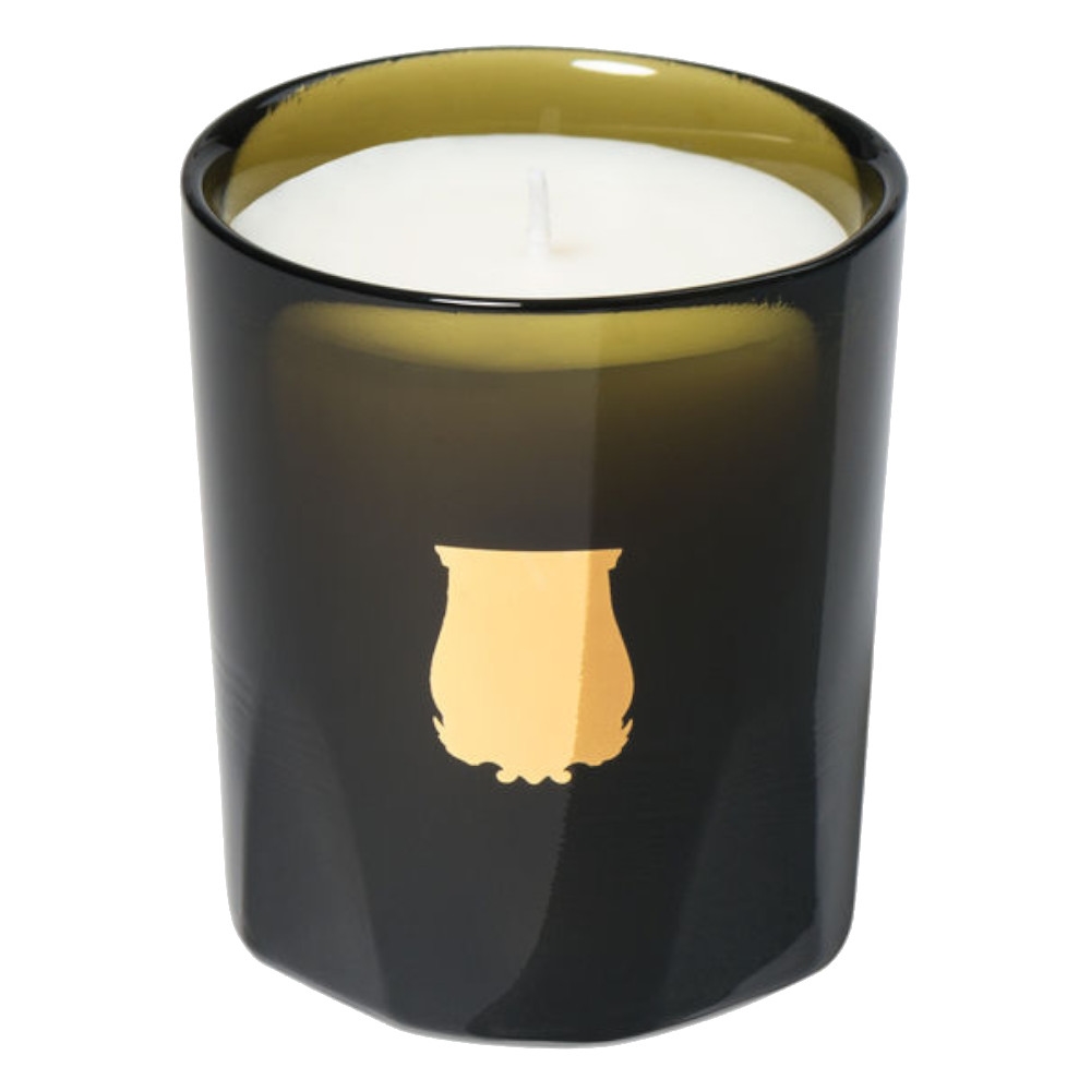 Gabriel: La Nuova Candela Trudon Wax