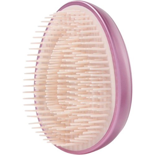 <p>My Travel Size Hairbrush<p><p>For every purchase in the Hair Prodigieux range <p>